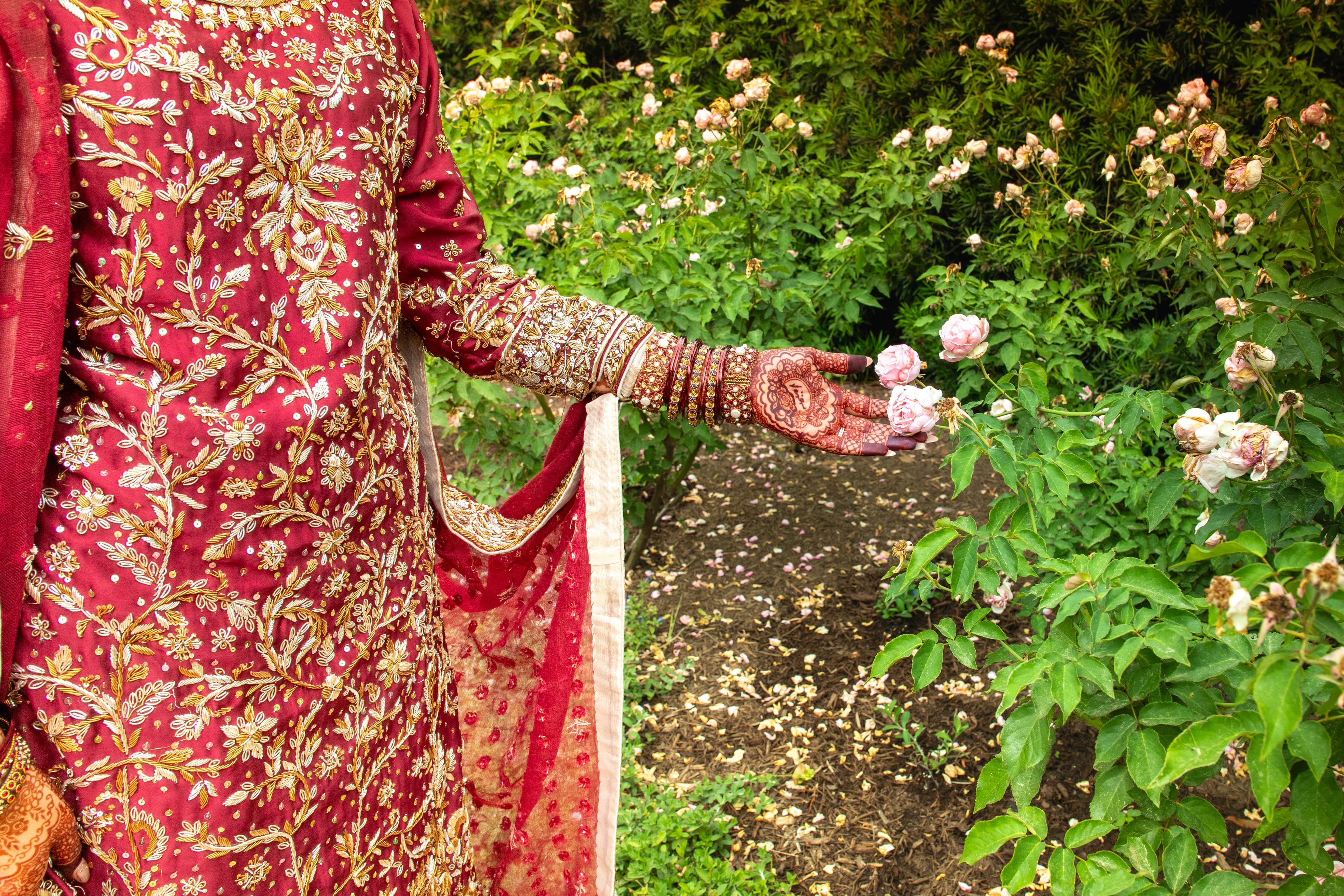 Bride in a red embroidered outfit reaching for garden roses, henna visible on her arm