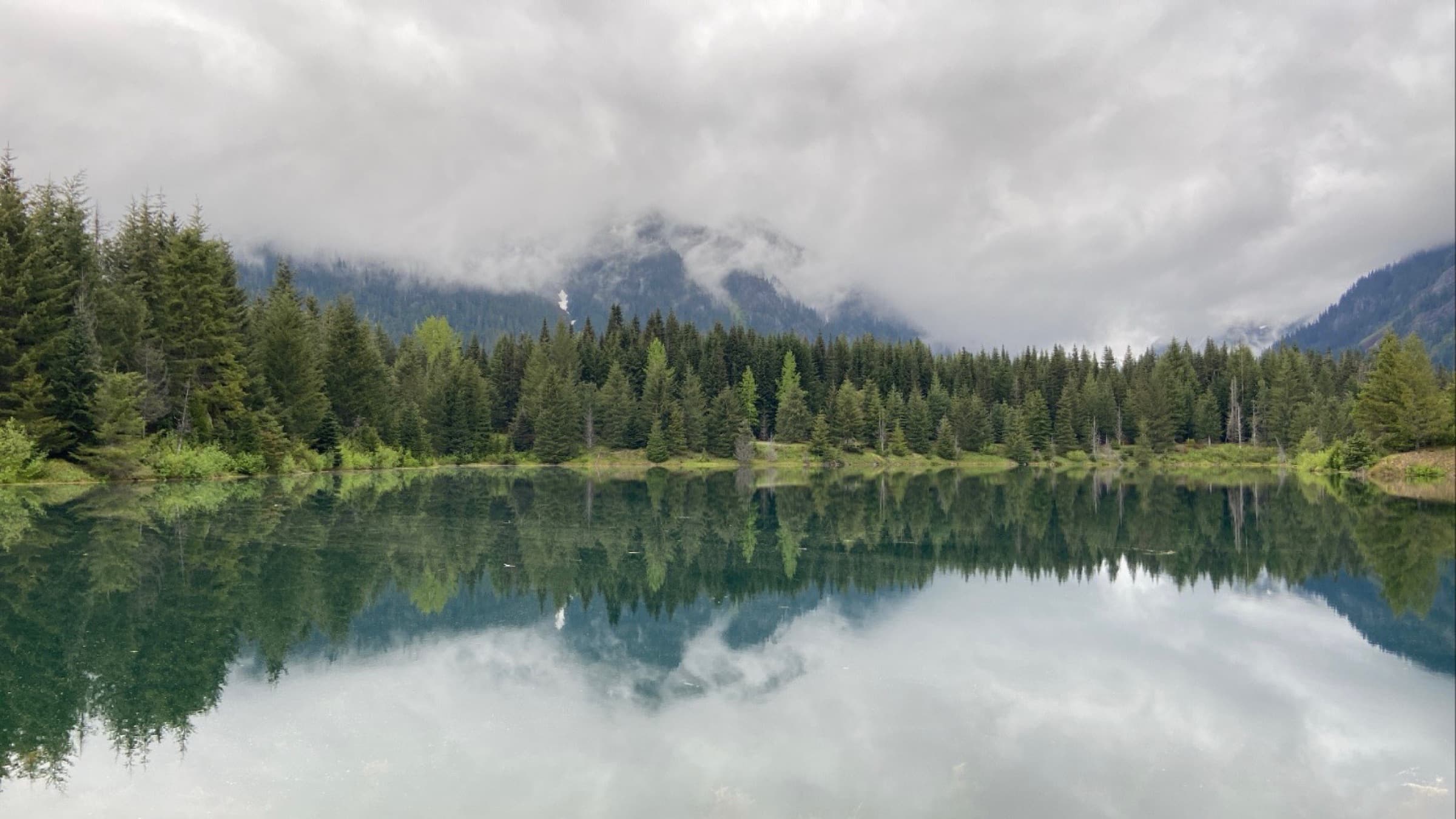 Misty mountains and pine forest reflected in a still lake