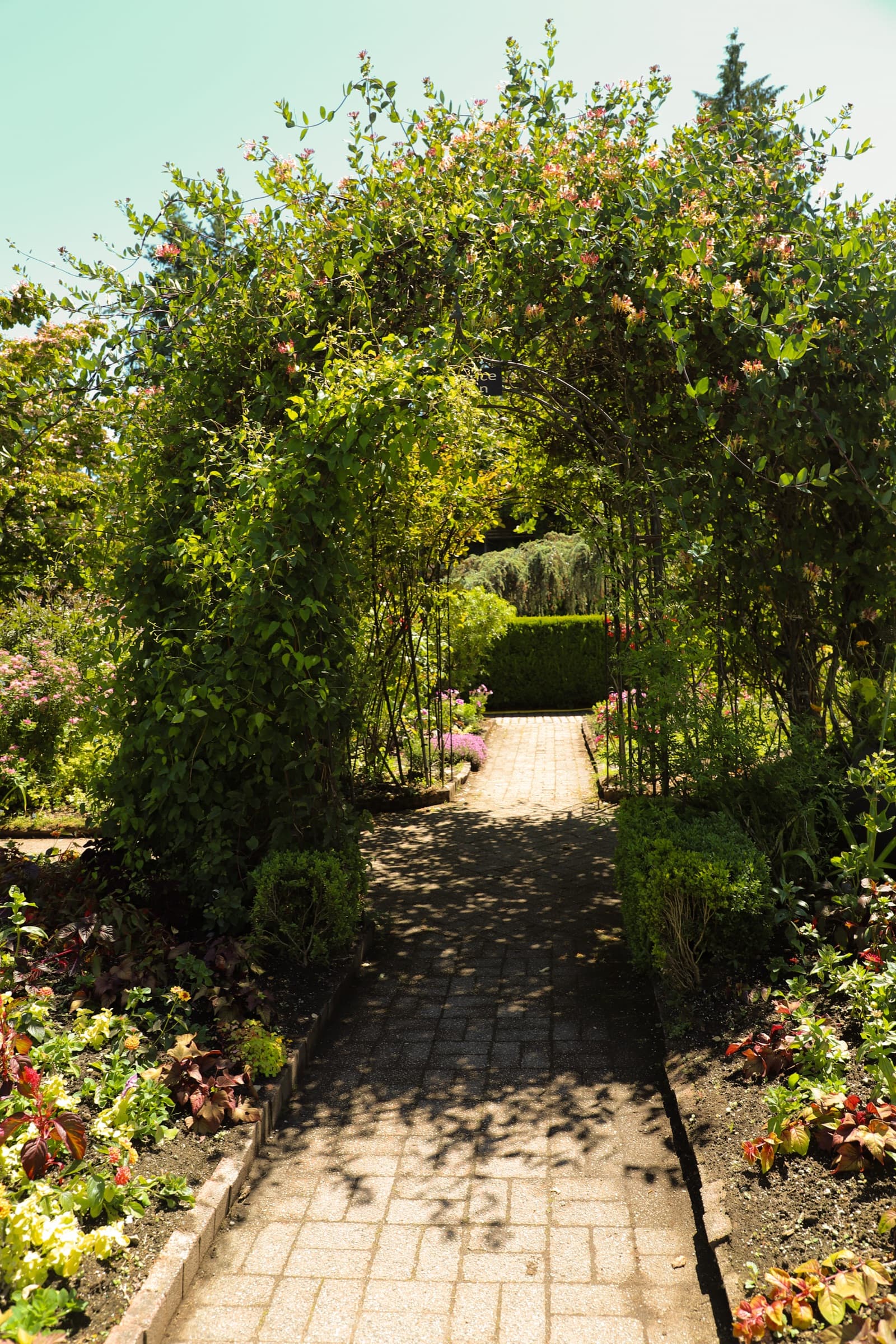 Brick garden path leading through a flowering archway