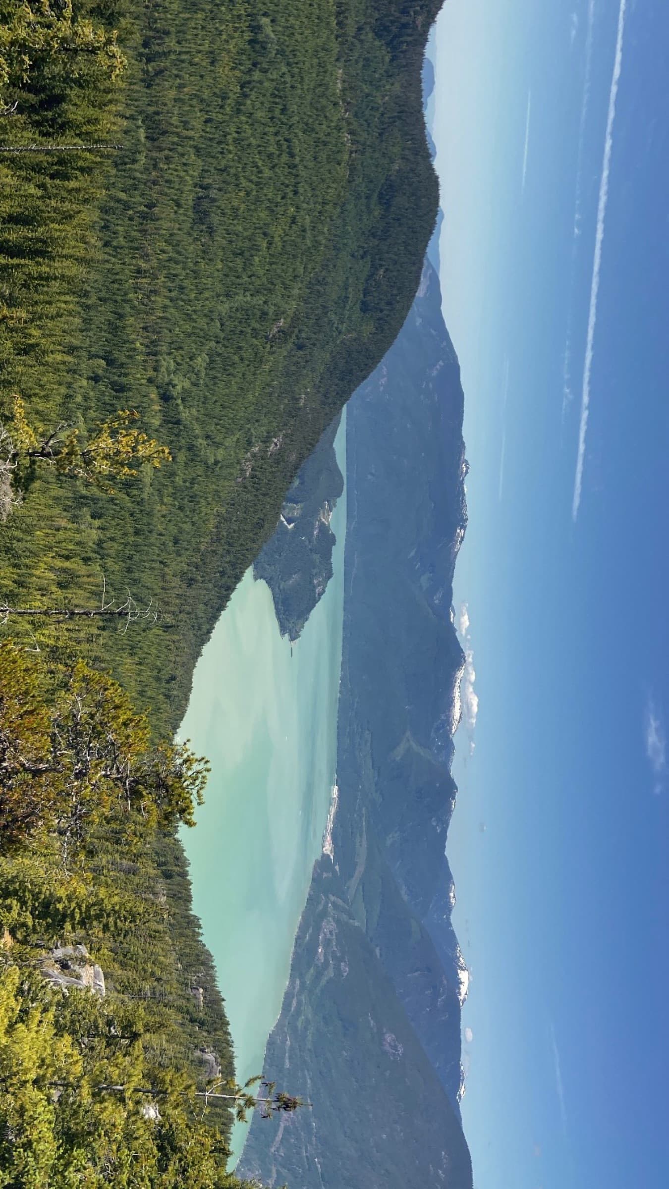 Turquoise alpine lake surrounded by pine forest and mountain peaks