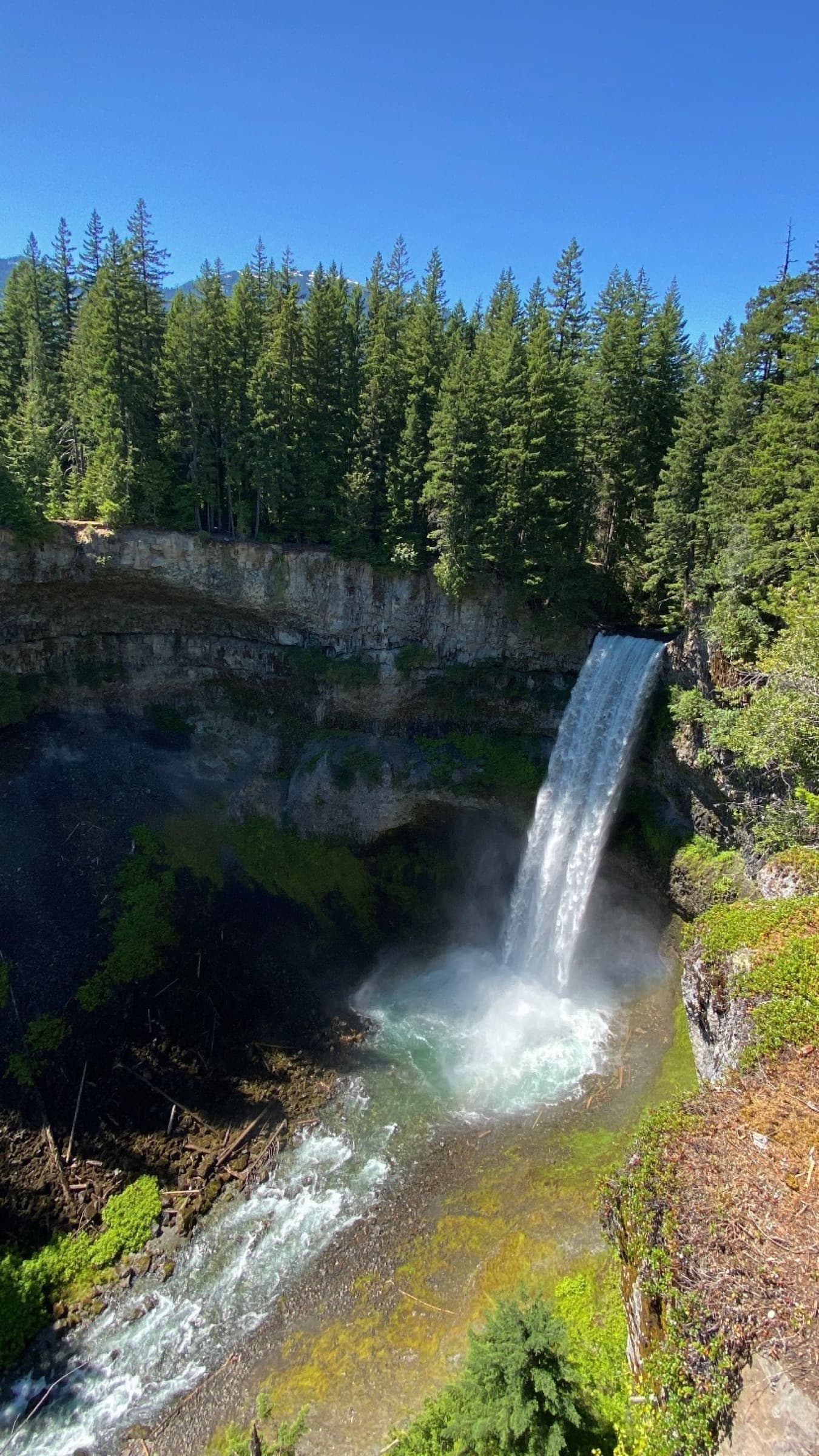 Waterfall plunging from a cliff into a forested gorge